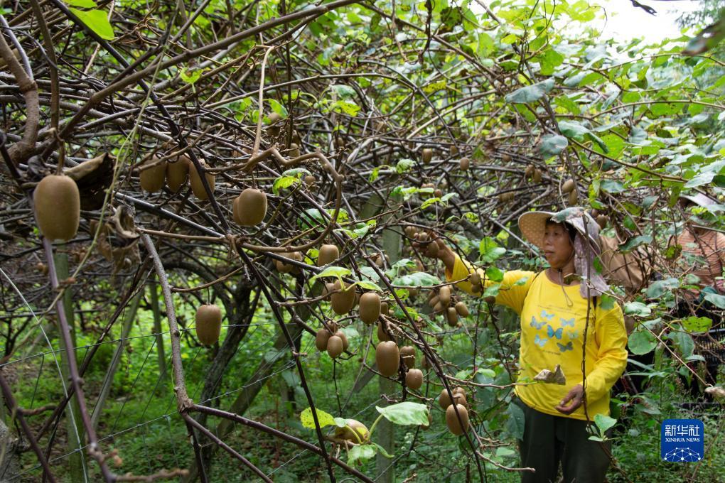牛牛游戏赚钱下载